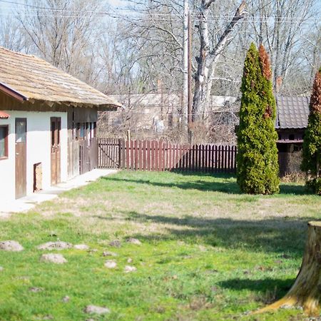 Villa Flora Kiskunmajsa Exteriér fotografie