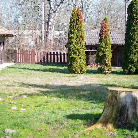 Villa Flora Kiskunmajsa Exteriér fotografie