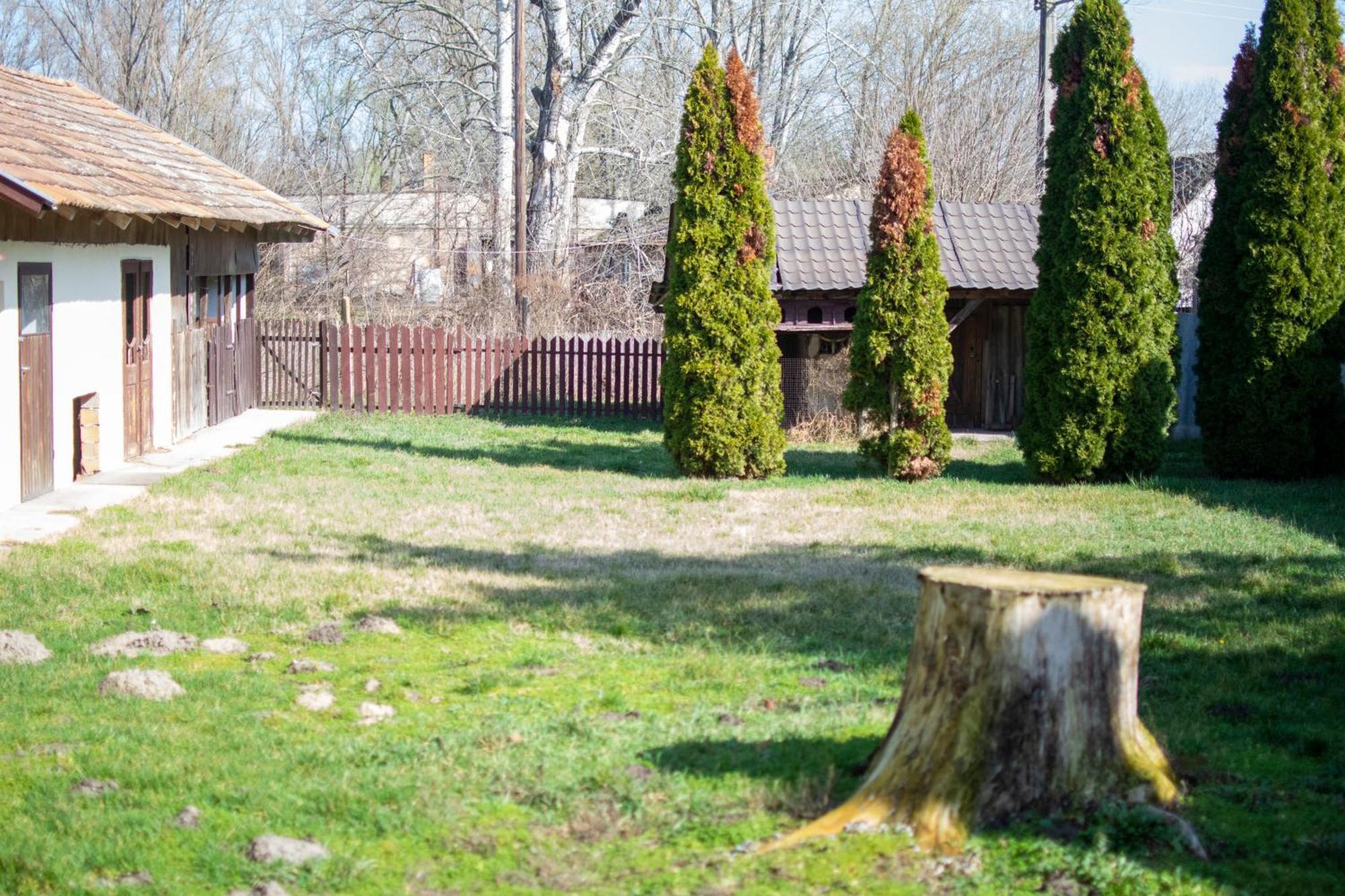Villa Flora Kiskunmajsa Exteriér fotografie